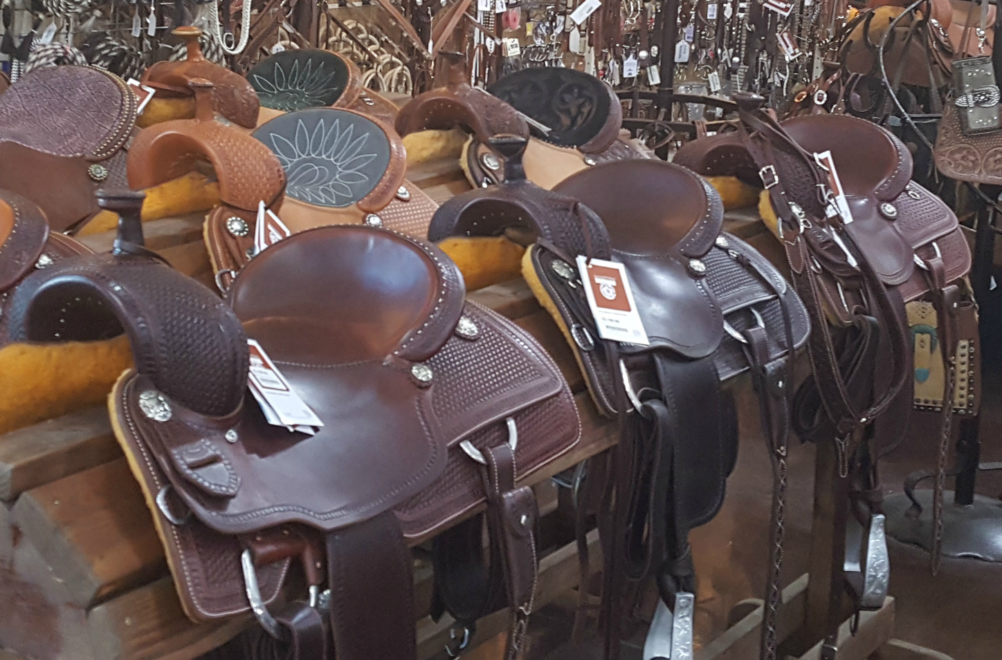 New Saddles at Legacy Feed and Fuel